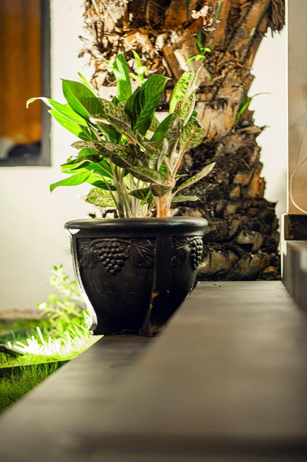 Ahome Guest House & Lounge Lome Bagian luar foto